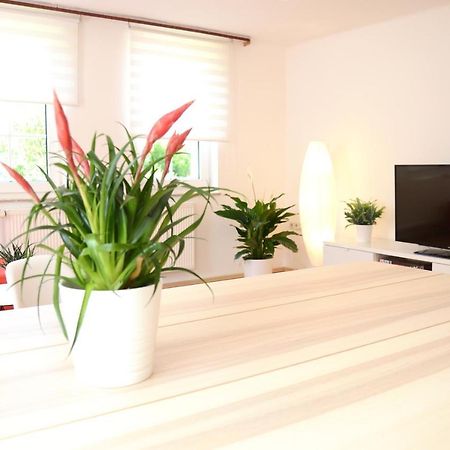 #Hoenepartment - Timeout Waldhessen - Bis Zu 8 Pers. Honebach Екстериор снимка